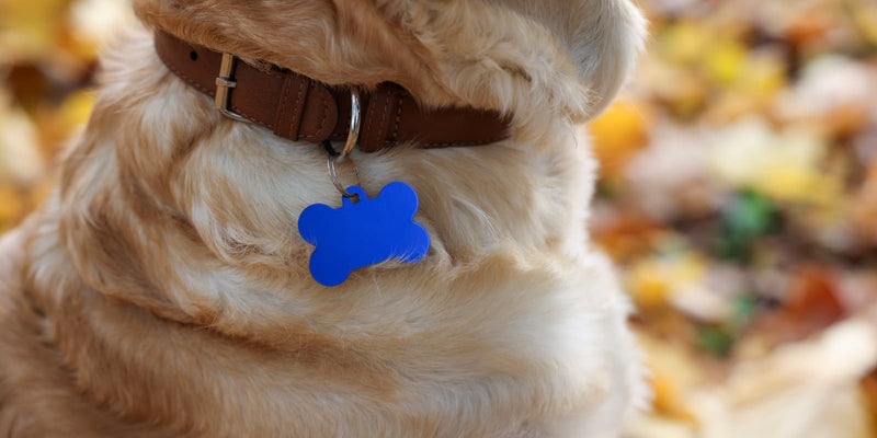 Evcil Hayvan Ürünleri (Pet Shop) İçin Etiket Çözümleri